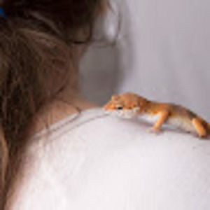 Meet your Posher, Aimee